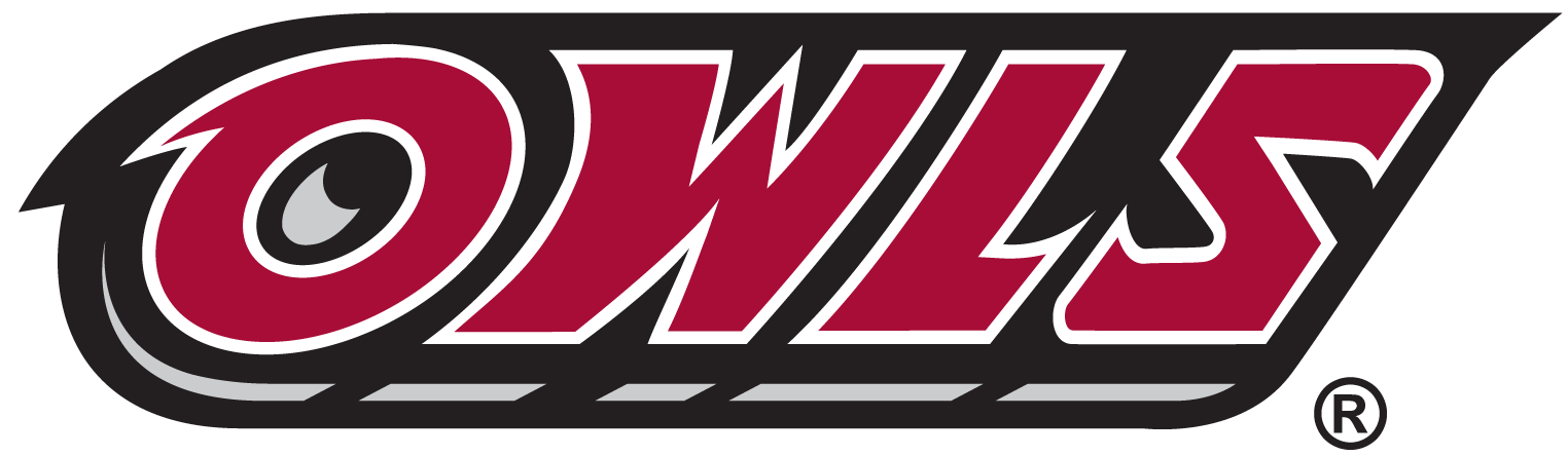 Temple Owls 1996-Pres Wordmark Logo vinyl decal